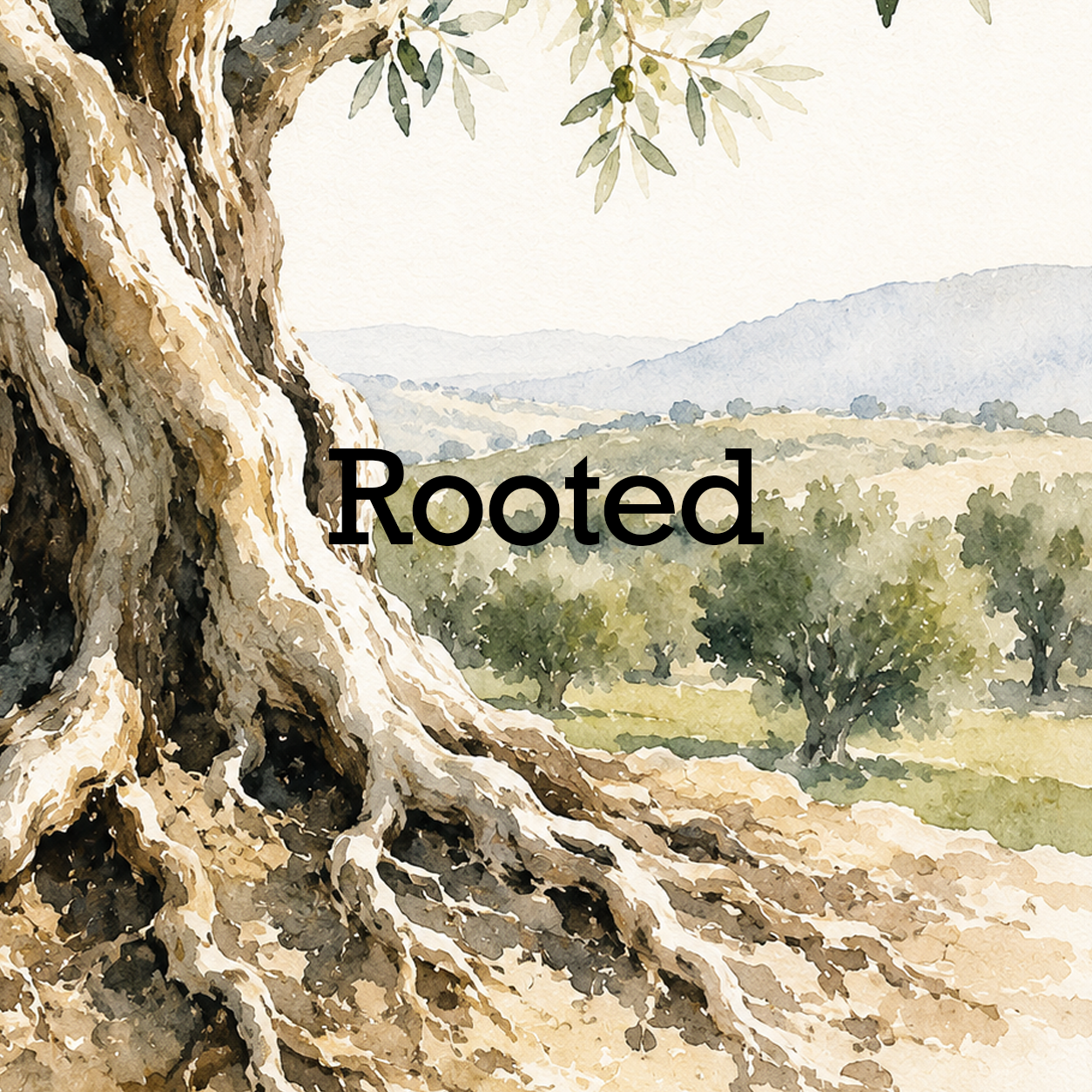 Island Rooted Rooted – The Olive Oil Gal • Hilton Head Island, SC